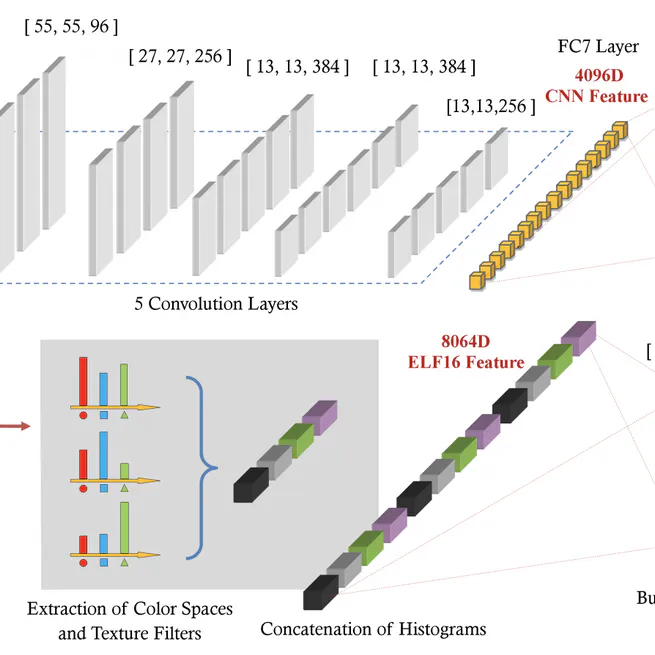 An enhanced deep feature representation for person re-identification