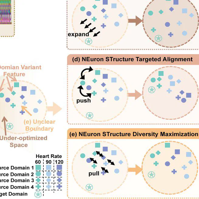 Neuron Structure Modeling for Generalizable Remote Physiological Measurement